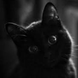Иконка канала IveNt_CaT