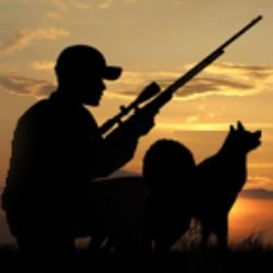 Иконка канала dogexpert.ru