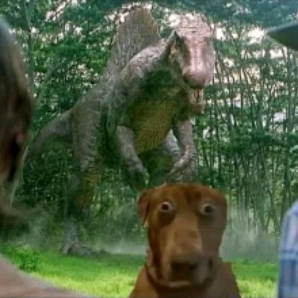 Иконка канала BoxingTima