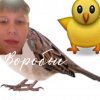 Иконка канала Воробьи
