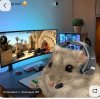 Иконка канала Play Жора