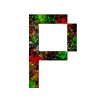 Иконка канала Phunduk