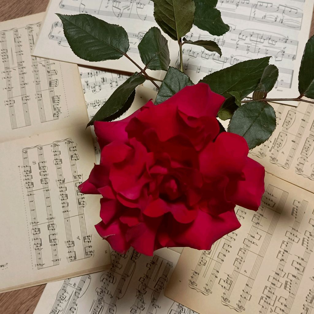 Иконка канала АртНН