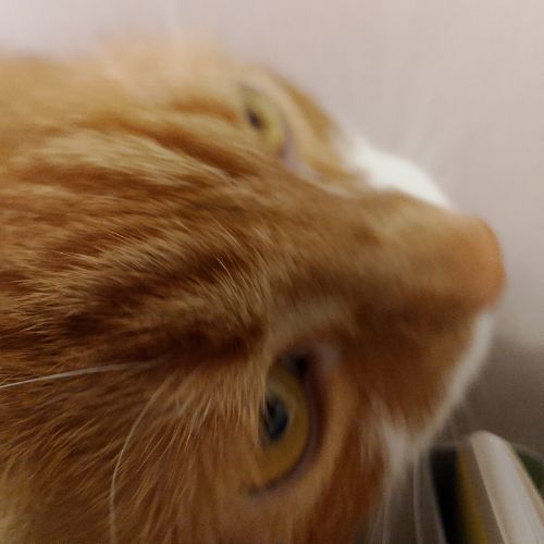 Иконка канала Вова Вербицкий