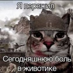 Иконка канала Kirik