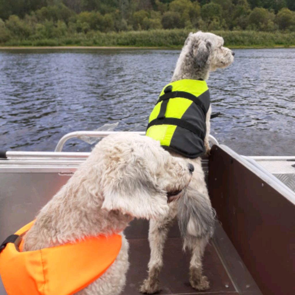 Иконка канала Бублик И Рублик друзья Гошеньки и К⁰