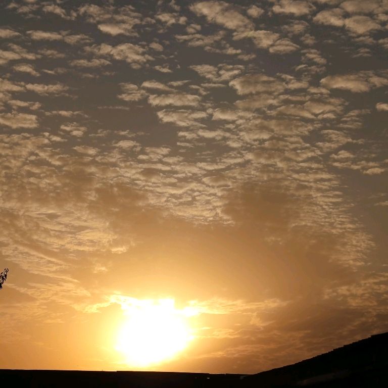 Иконка канала София Я