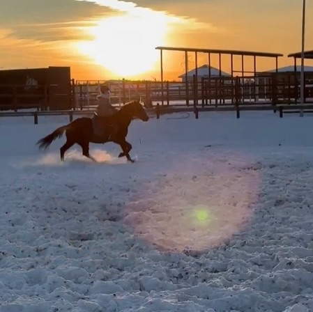 Иконка канала taya_horse_blog