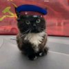 Иконка канала Игроман