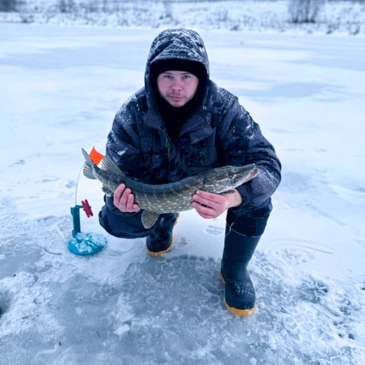 Иконка канала Рыбалка67