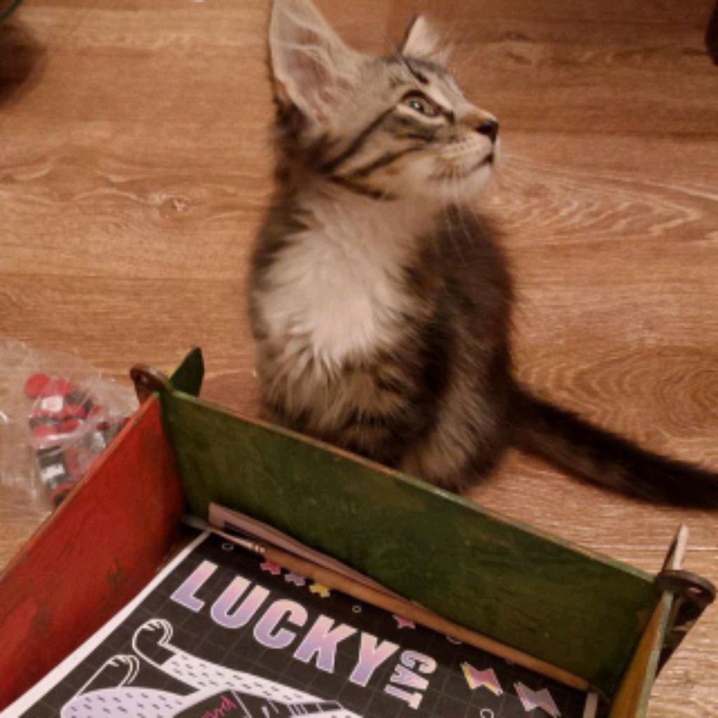 Иконка канала NewAndrey