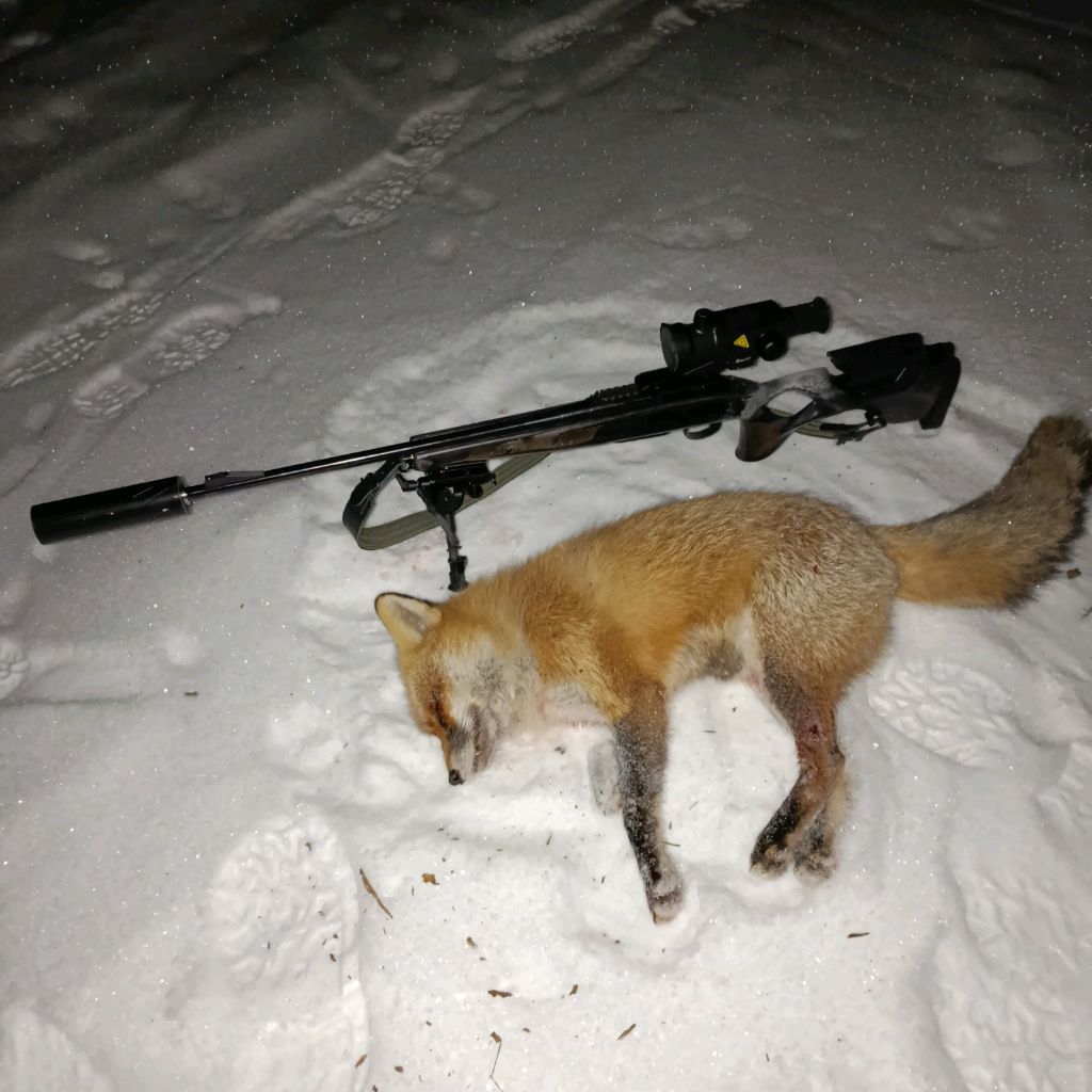 Иконка канала Охота На Хищника