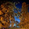 Иконка канала GOD DOTA 2