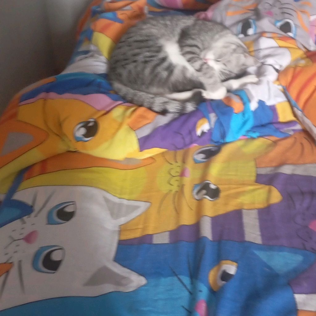 Иконка канала Макар и Котик