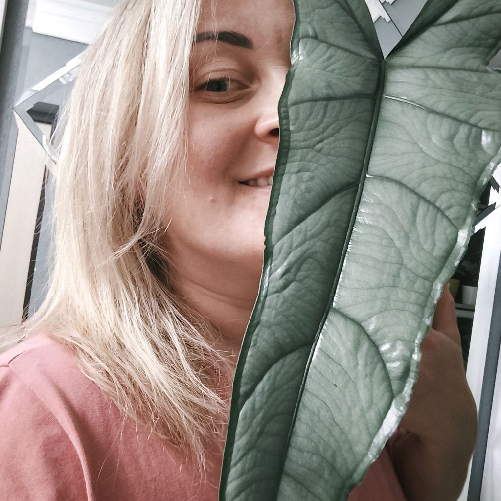 Иконка канала Aks_Plants🌿Тропический мир Растений🌿