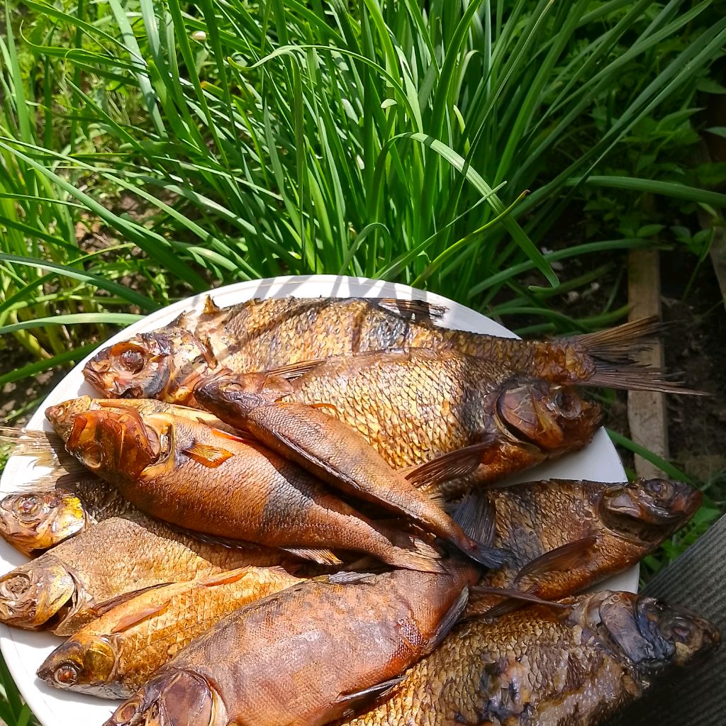 Иконка канала Жизнь и Рыбалка