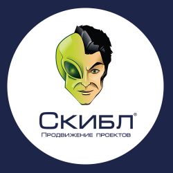 Иконка канала СКИБЛ - продвижение проектов