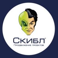 Иконка канала СКИБЛ - продвижение проектов