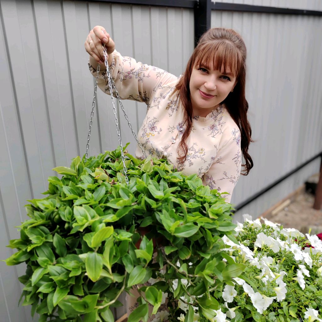 Иконка канала 🌸Ароматный сад🌸(петуния, колеусы)