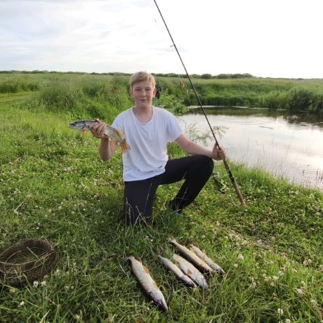 Аватар автора