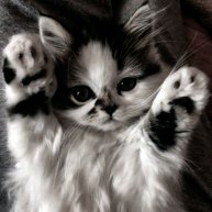 Иконка канала 😻Агата Дыцевич 😻