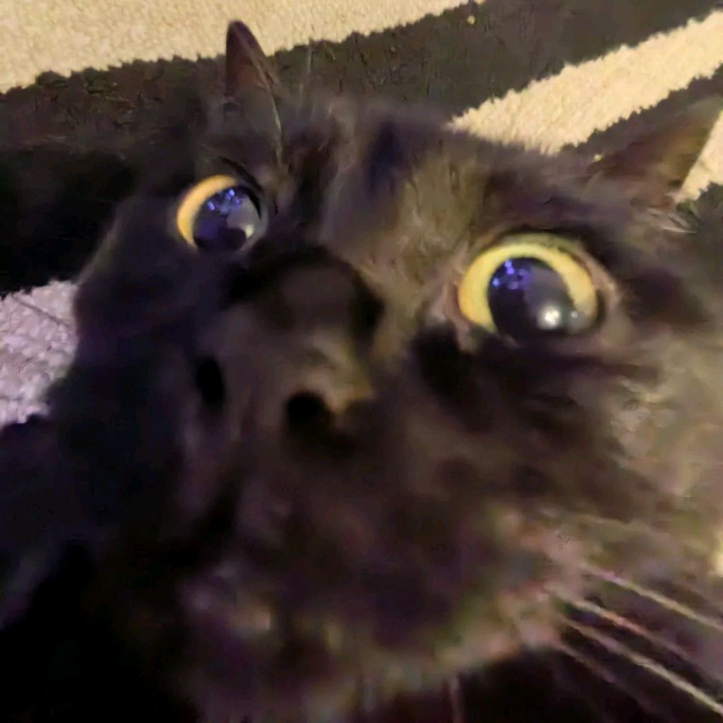 Иконка канала Mihalich