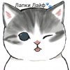Иконка канала Лапки Лайф