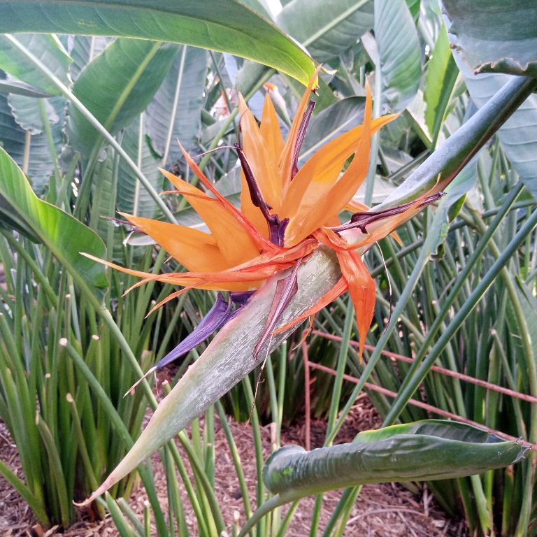 Иконка канала уДачная Жизнь