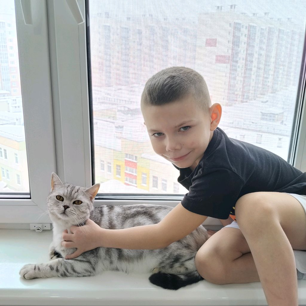 Аватар автора