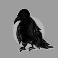 Иконка канала •🌙Night crow🌙•