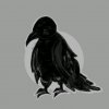 Иконка канала •🌙Night crow🌙•
