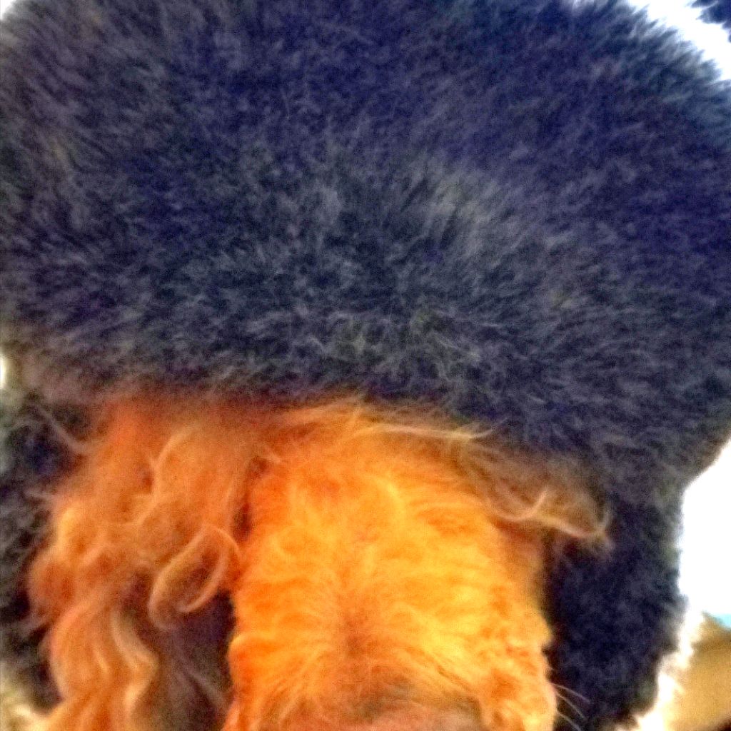 Иконка канала r55jnc Играет В Мишку