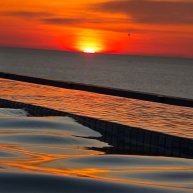 Иконка канала NATURE