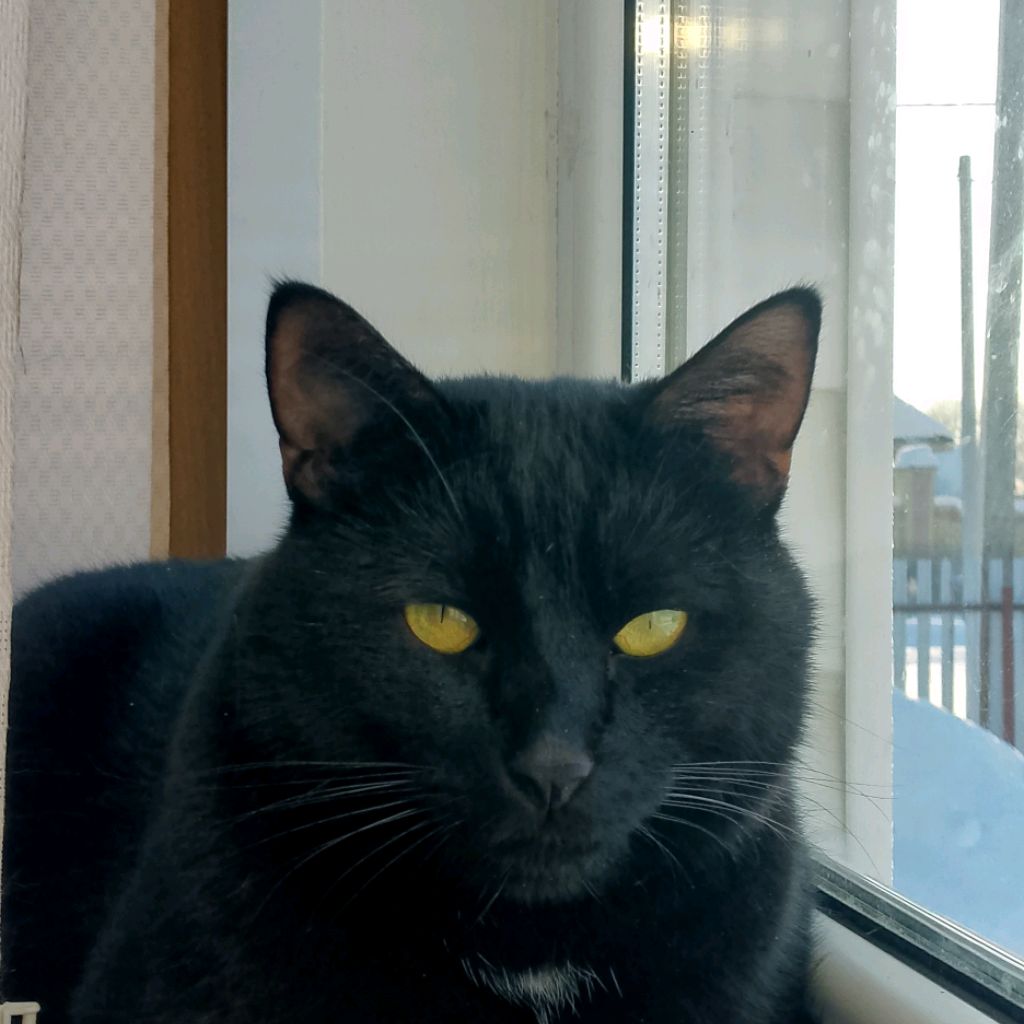 Иконка канала Varkis