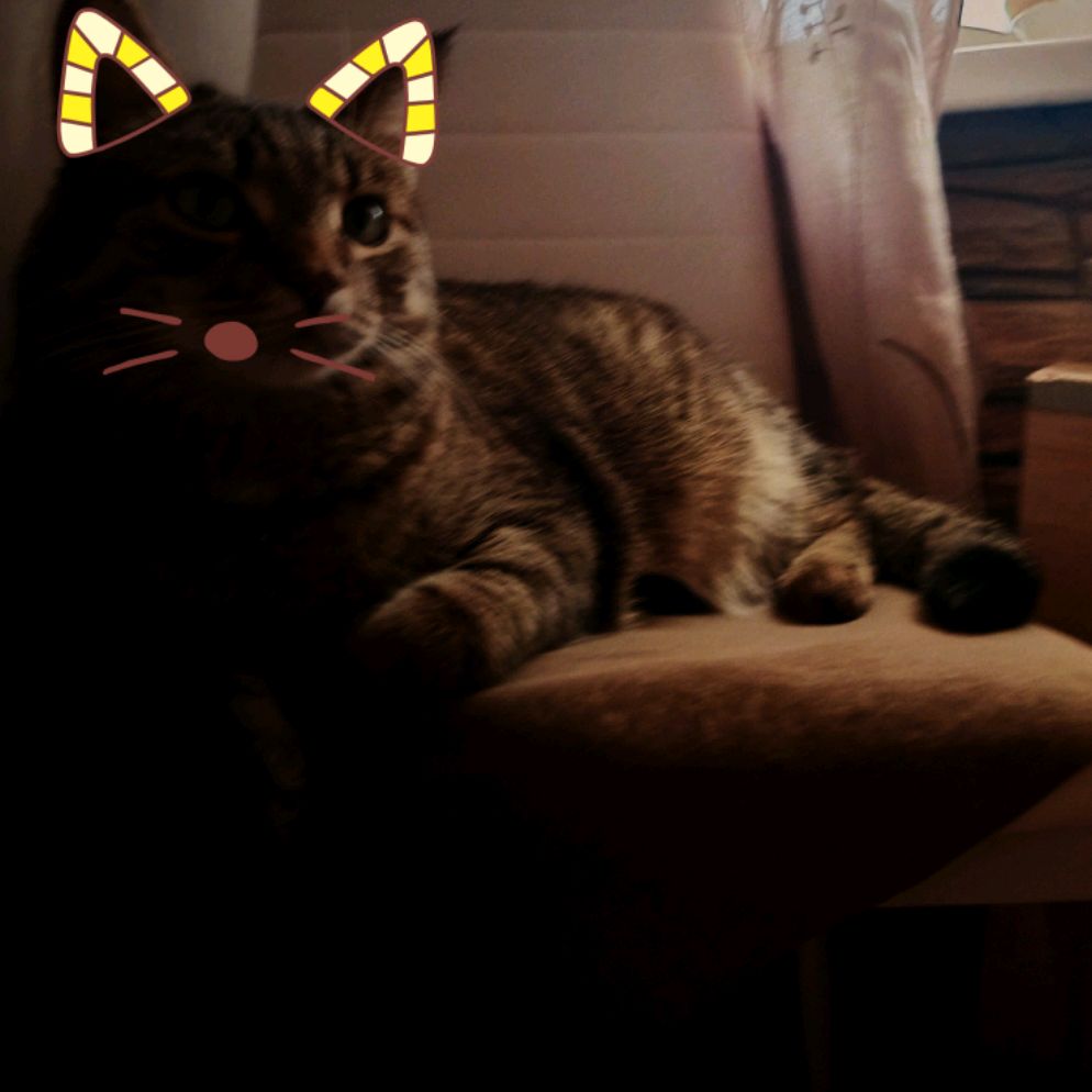 Иконка канала Май Ники