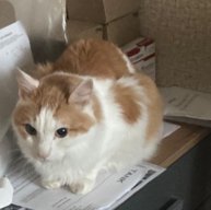 Иконка канала Matvey и Shadow