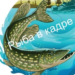 Иконка канала Рыба в кадре