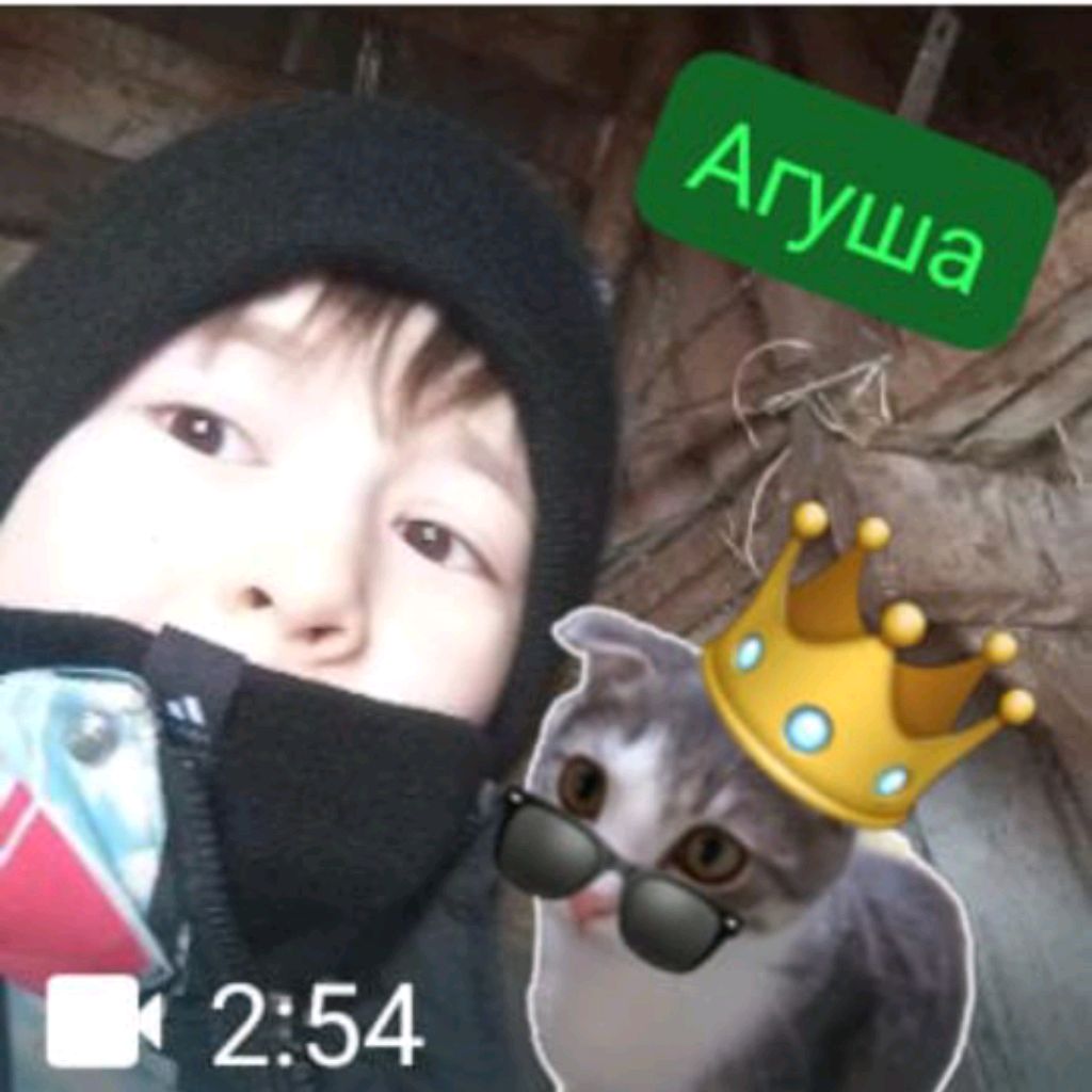 Аватар автора