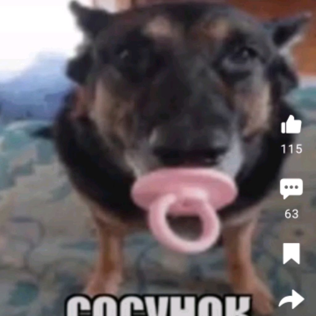 Иконка канала rutube_account_19234165