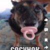 Иконка канала rutube_account_19234165