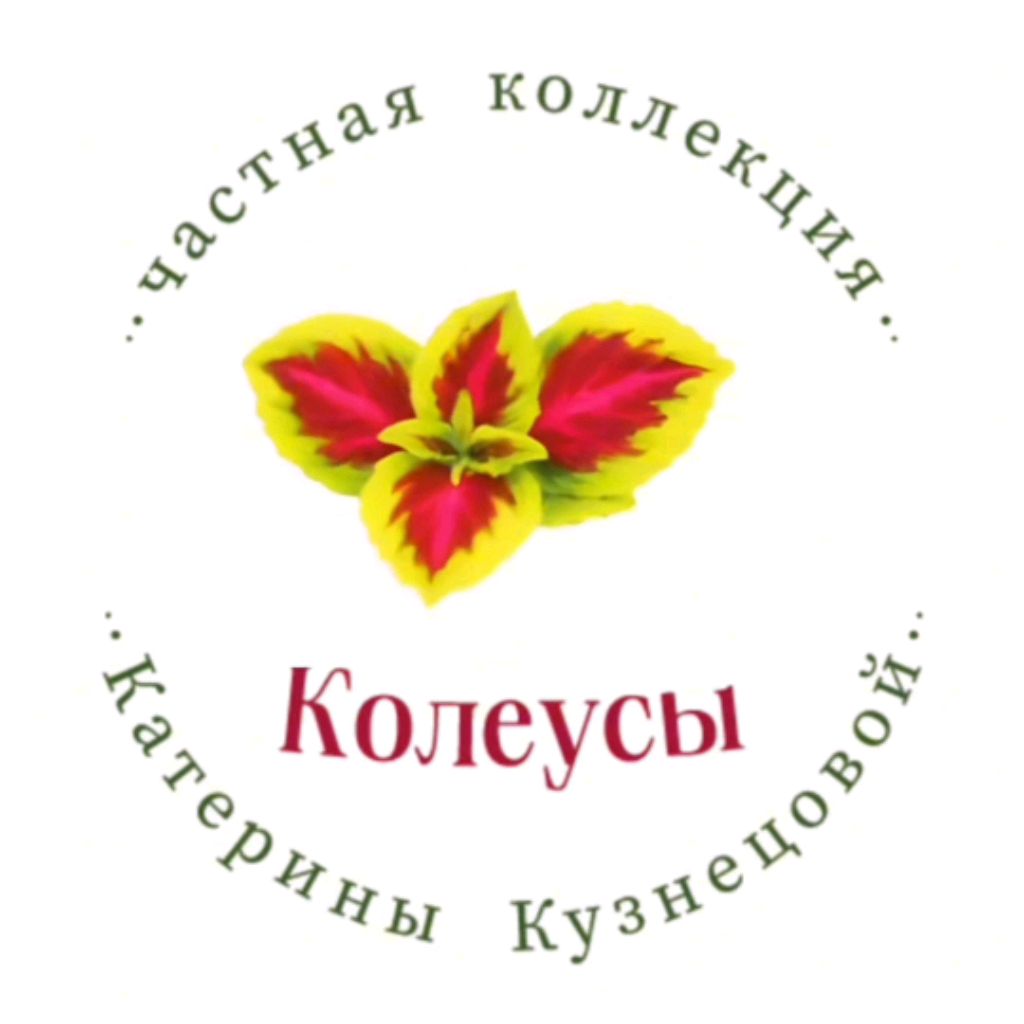 Иконка канала Колеусы | Частная коллекция Катерины Кузнецовой