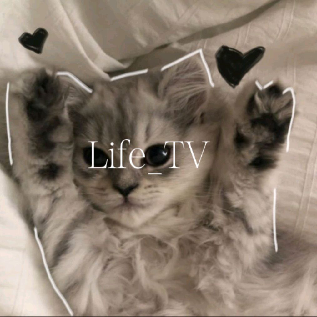 Иконка канала Life_TV