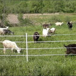 Иконка канала IvanovAleksey