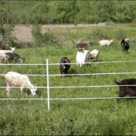 Иконка канала IvanovAleksey