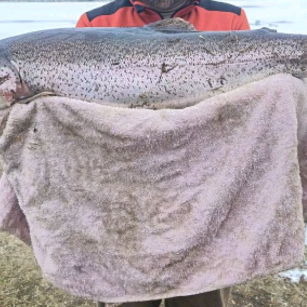 Иконка канала Рыбалка Для Души!