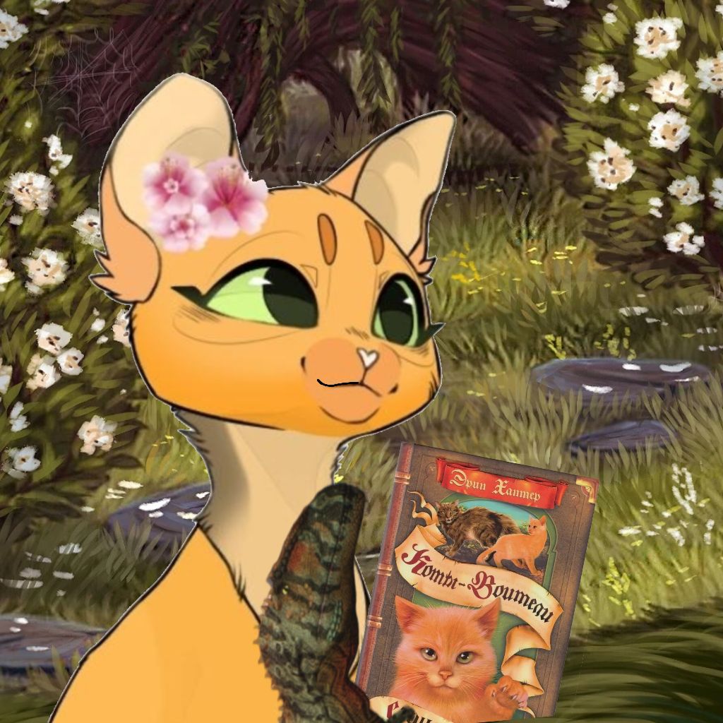 Аватар автора