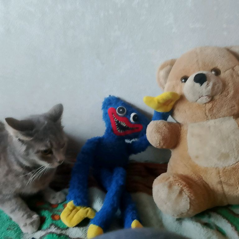 Аватар автора