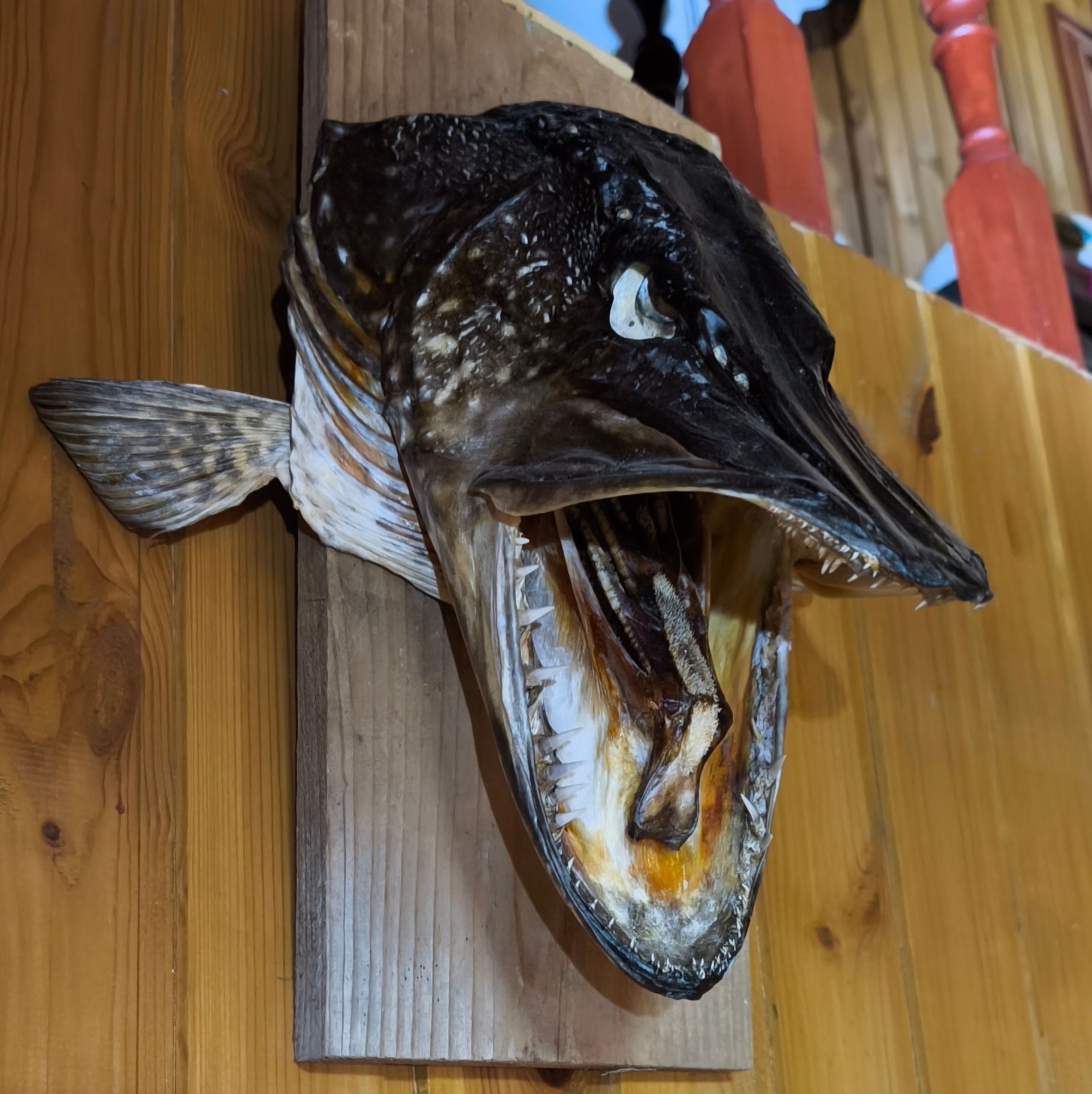 Иконка канала Life in a Russian village