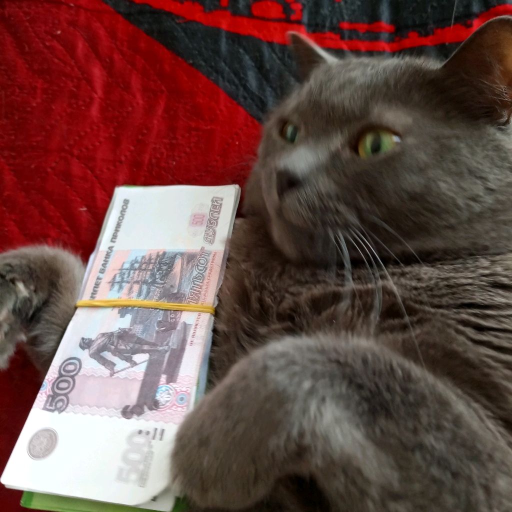 Аватар автора