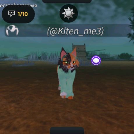 Аватар автора